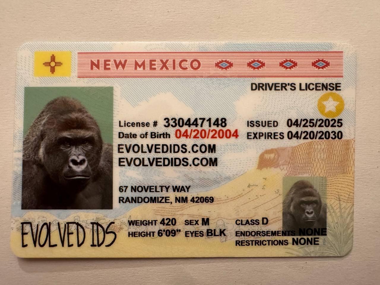 NM_FRONT