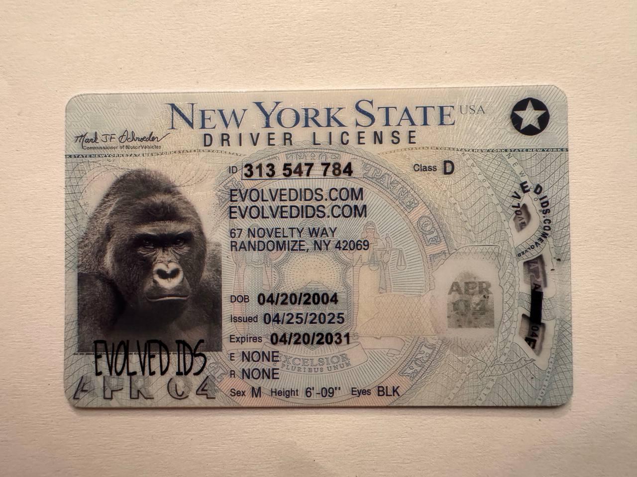 NY_FRONT